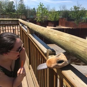 Meet your Posher, Lex